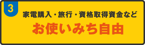 家電購入・旅行・資格取得資金などお使いみち自由