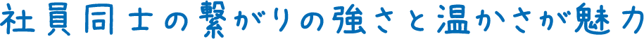 社員同士の繋がりの強さと温かさが魅力